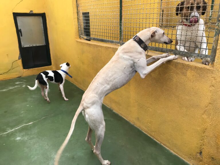 multimedia-foto69886-566-1