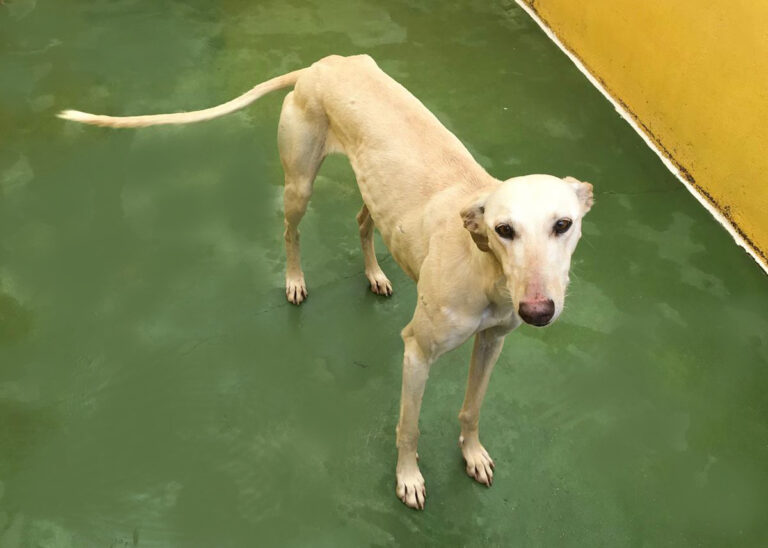 multimedia-foto69887-567-1