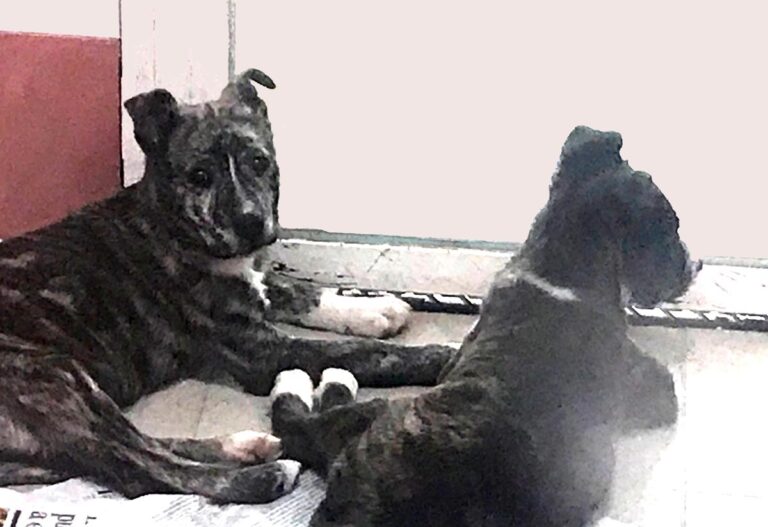 multimedia-foto69889-765-1