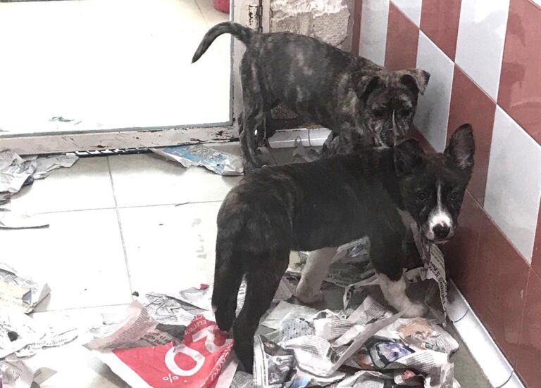 multimedia-foto69890-765-1