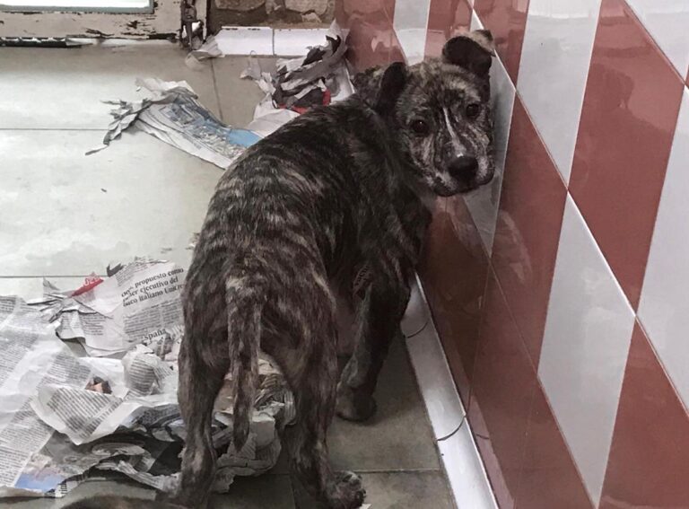 multimedia-foto69896-924-1