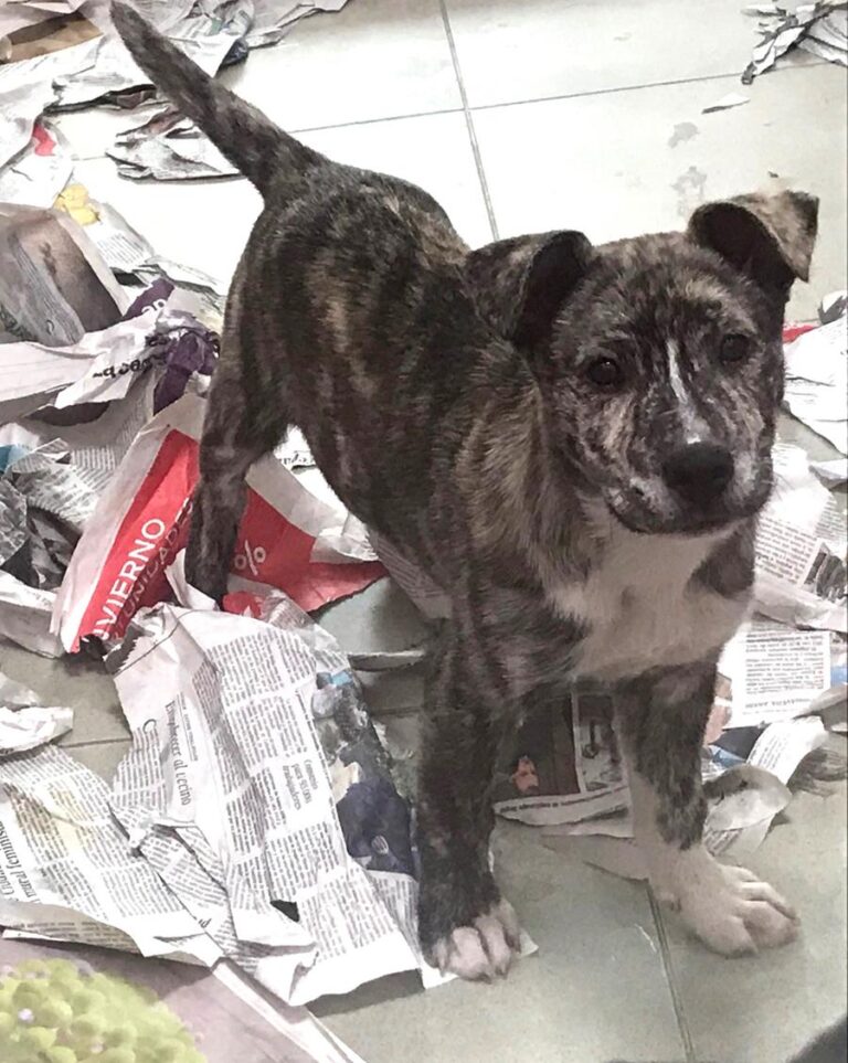 multimedia-foto69897-925-1