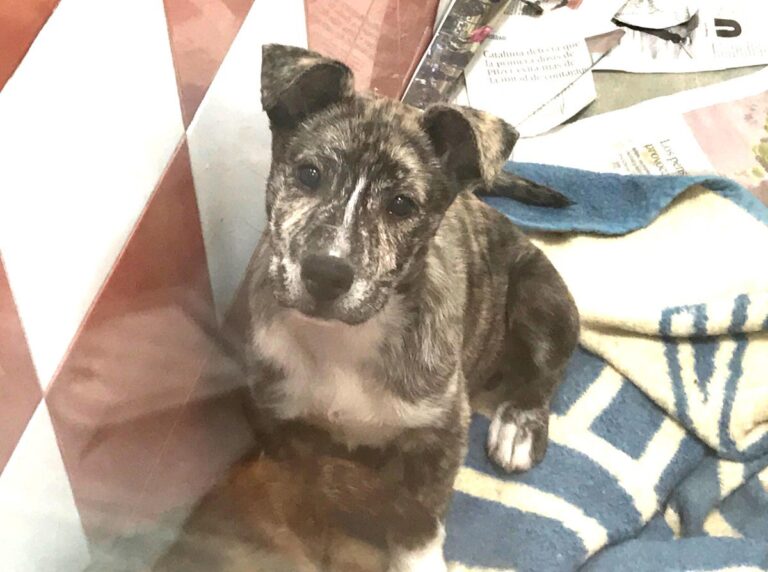 multimedia-foto69899-926-1