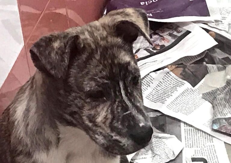 multimedia-foto69900-927-1