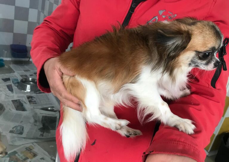 multimedia-foto69901-272-1