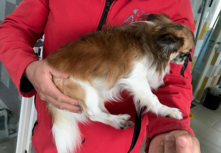 multimedia-foto69902-272-1