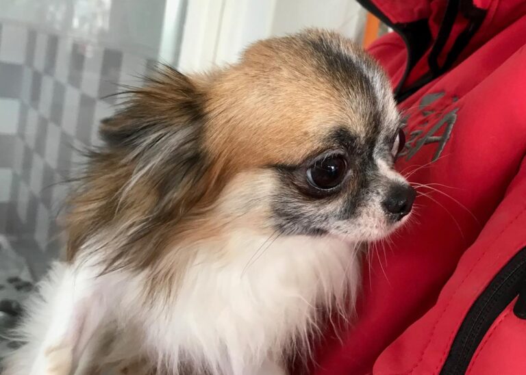 multimedia-foto69903-273-1