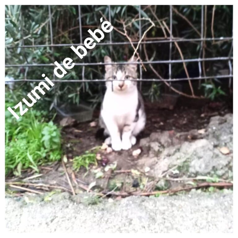 multimedia-foto69928-591-1