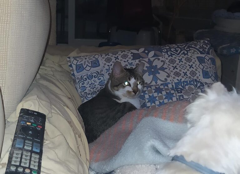 multimedia-foto69930-134-1