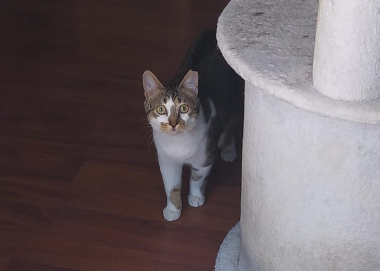 multimedia-foto69931-134-1