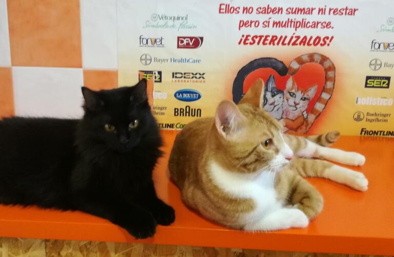 multimedia-foto69935-908-1