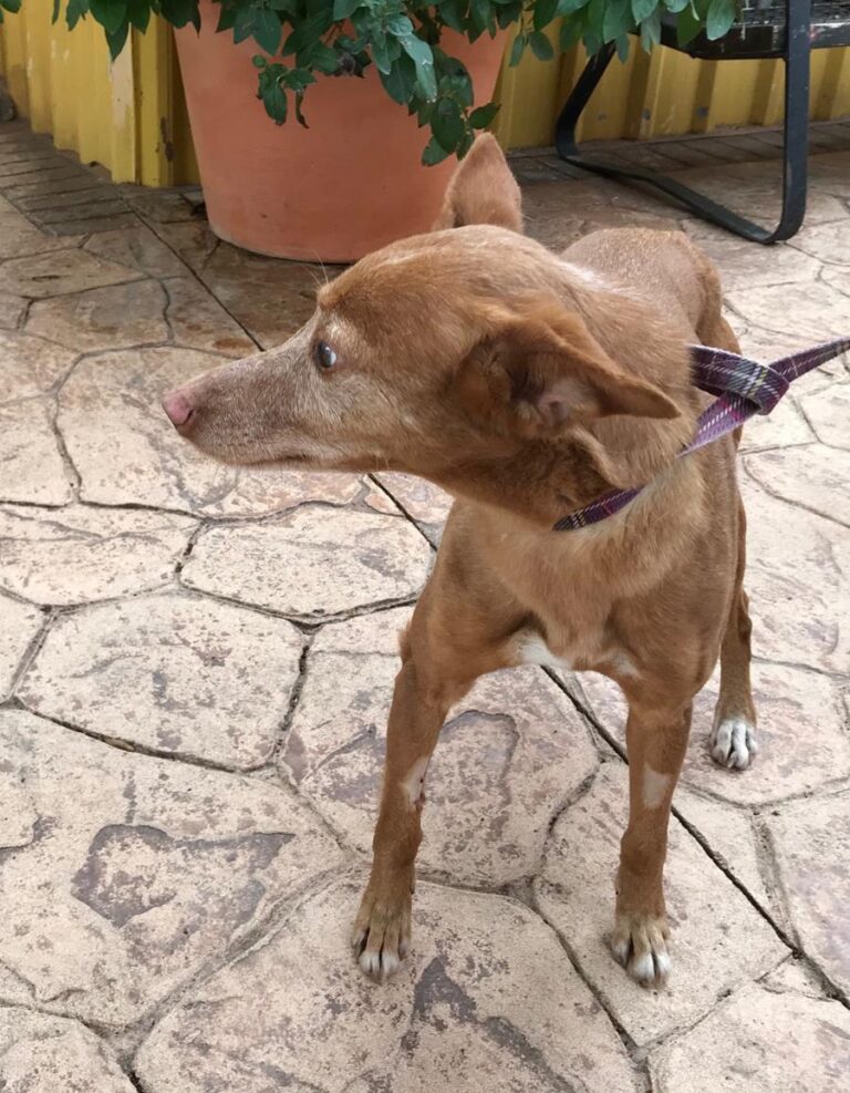 multimedia-foto69953-140-1