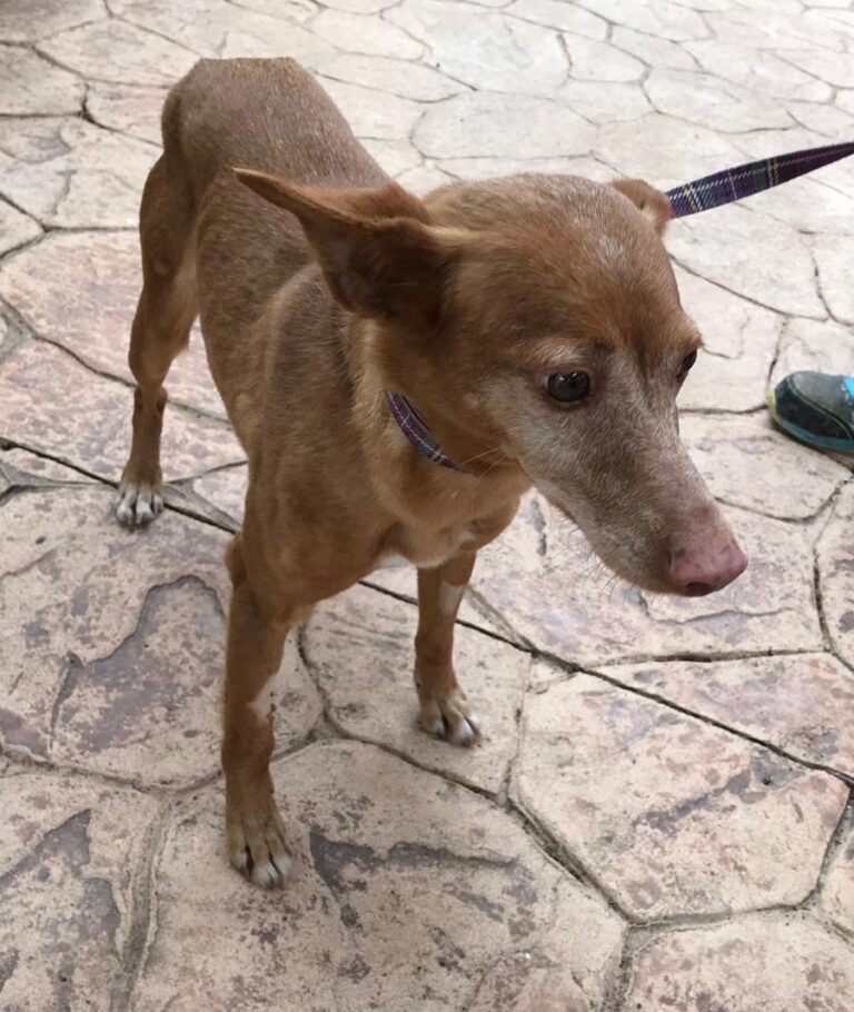 multimedia-foto69954-140-1