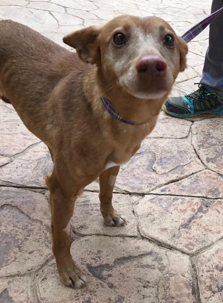 multimedia-foto69955-141-1