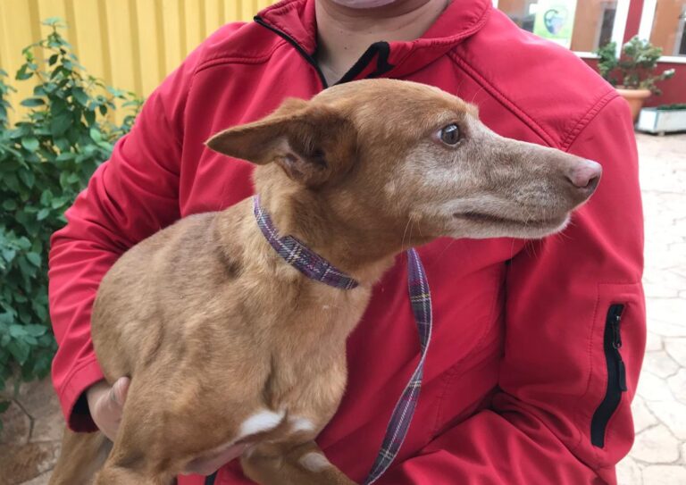 multimedia-foto69956-141-1