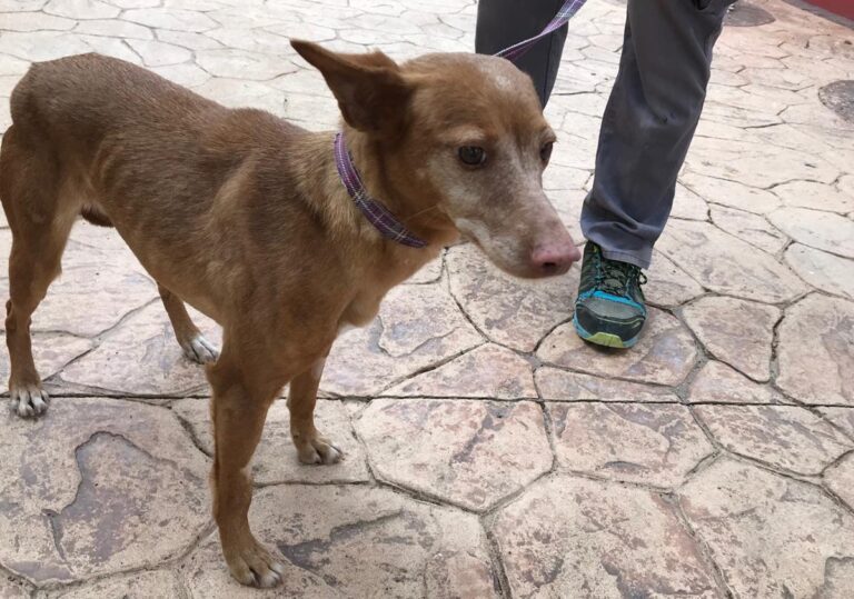 multimedia-foto69958-143-1