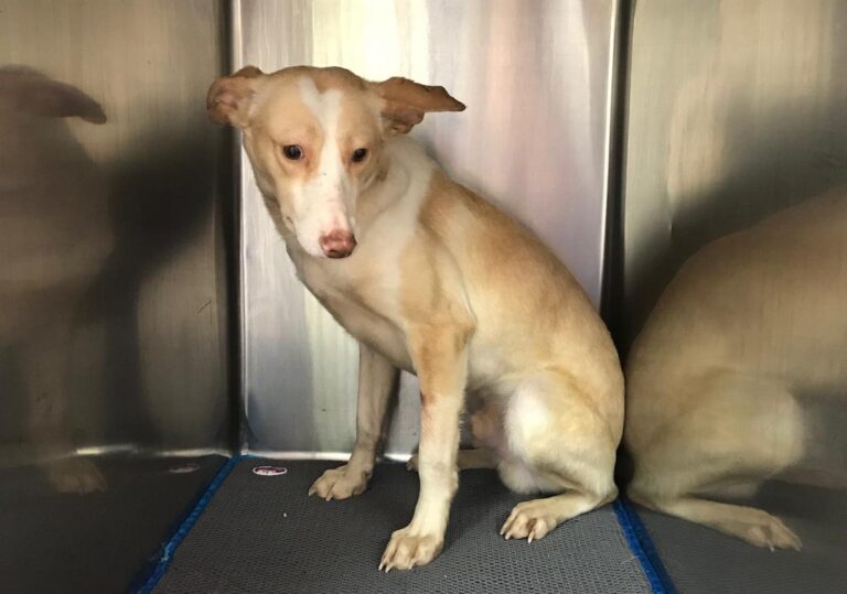 multimedia-foto69959-550-1