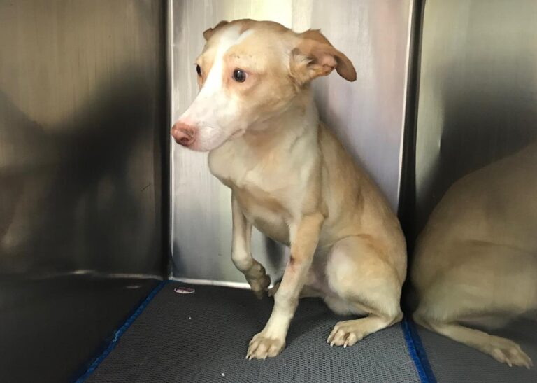 multimedia-foto69960-551-1