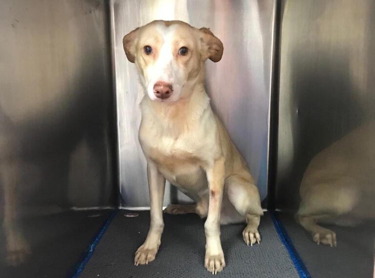 multimedia-foto69961-551-1