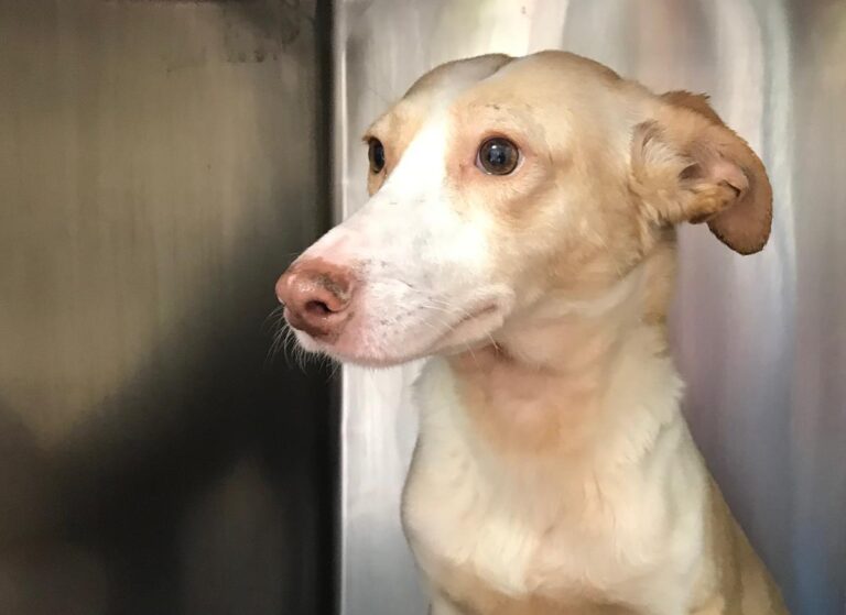 multimedia-foto69962-552-1