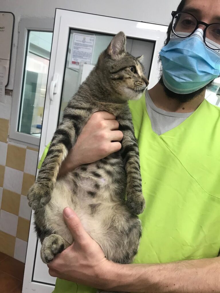 multimedia-foto69963-581-1