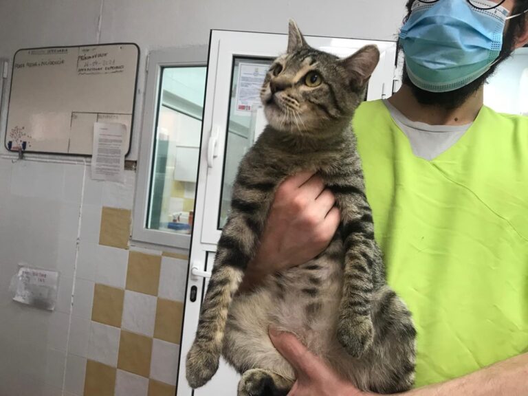 multimedia-foto69964-581-1