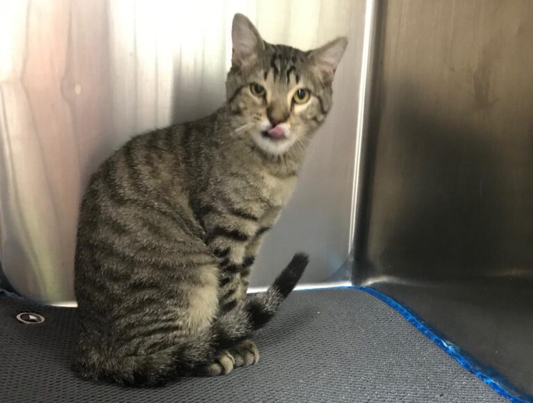 multimedia-foto69967-583-1