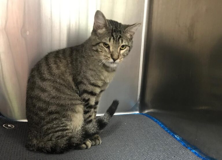 multimedia-foto69968-583-1