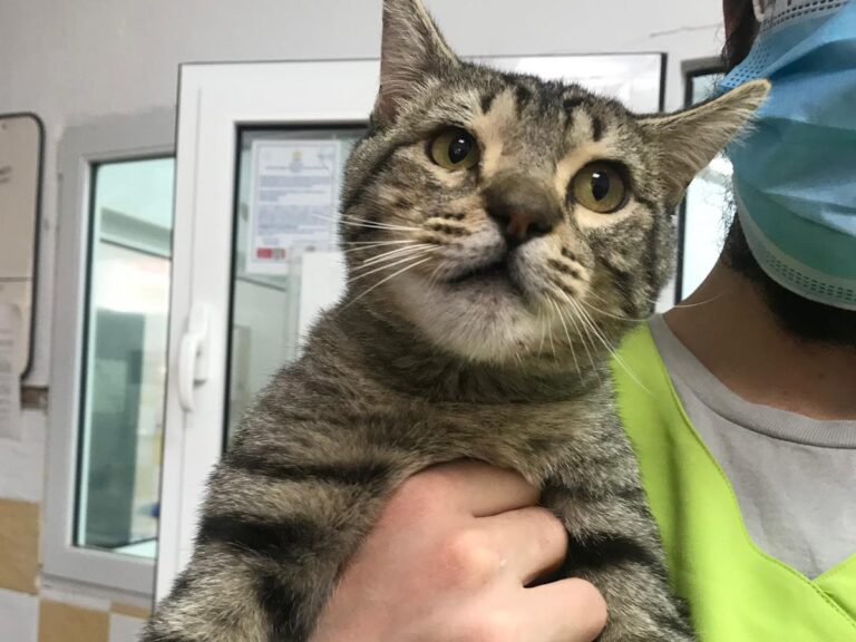 multimedia-foto69969-584-1