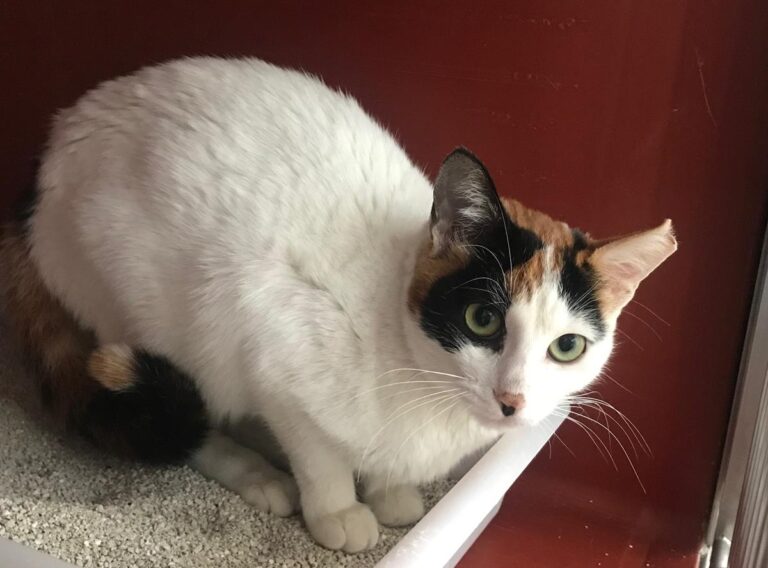 multimedia-foto69986-573-1