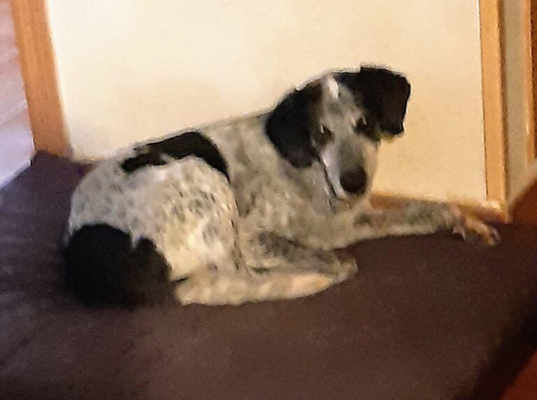 multimedia-foto69991-738-1