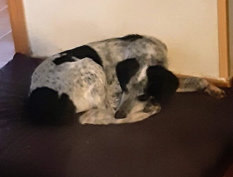 multimedia-foto69992-738-1