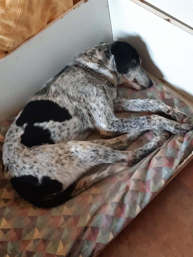 multimedia-foto69993-739-1