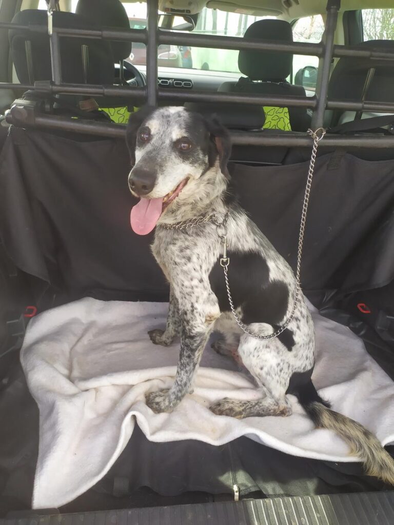 multimedia-foto69994-740-1