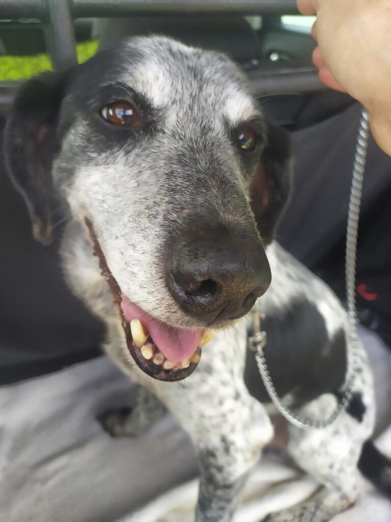 multimedia-foto69995-740-1