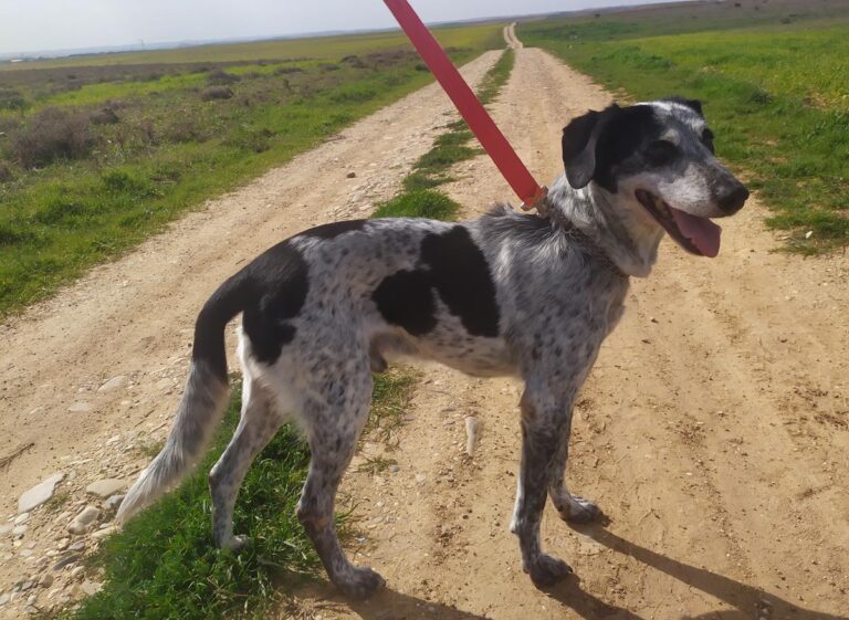 multimedia-foto69996-741-1