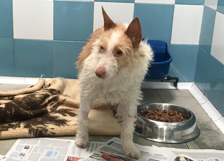 multimedia-foto69999-396-1