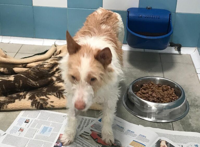 multimedia-foto70000-396-1