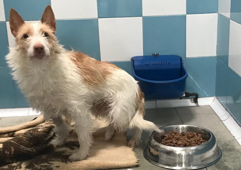 multimedia-foto70001-397-1