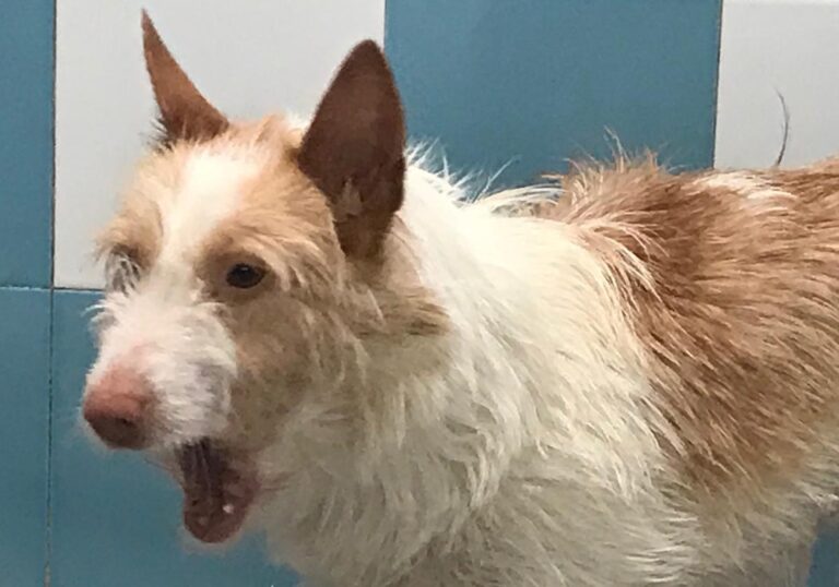 multimedia-foto70002-397-1