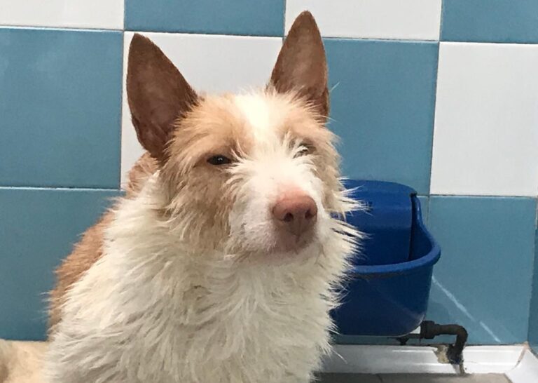 multimedia-foto70003-398-1