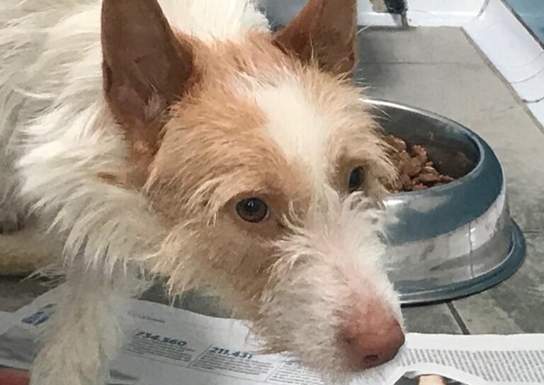 multimedia-foto70004-399-1