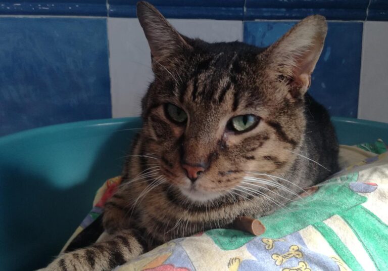 multimedia-foto70009-483-1