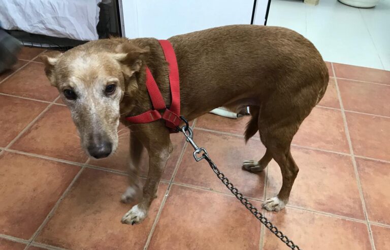 multimedia-foto70020-527-1