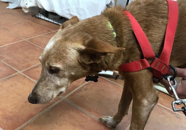 multimedia-foto70021-527-1