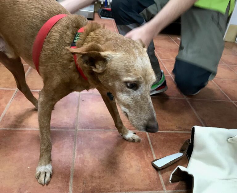 multimedia-foto70023-528-1