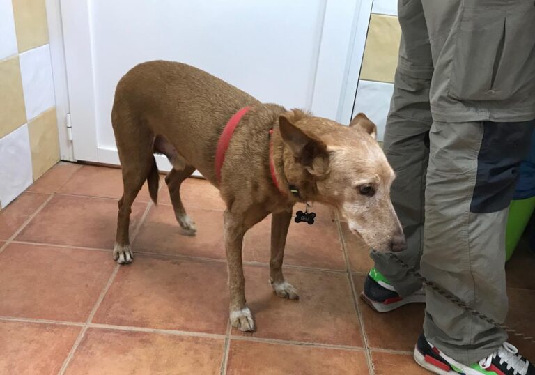 multimedia-foto70025-528-1