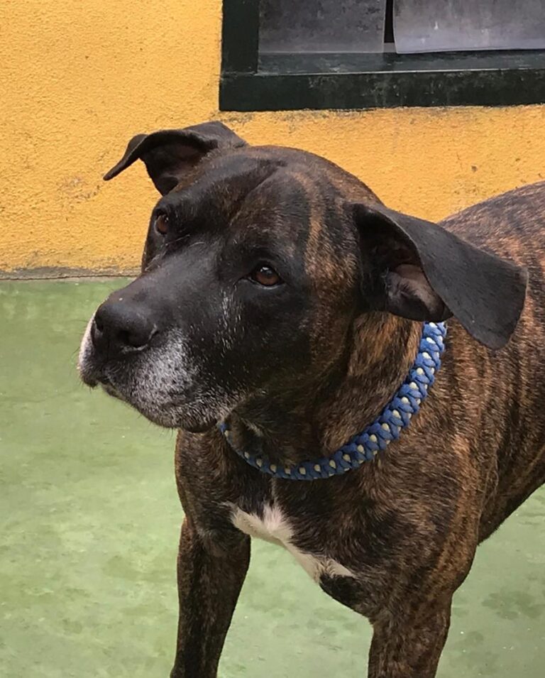 multimedia-foto70060-978-1