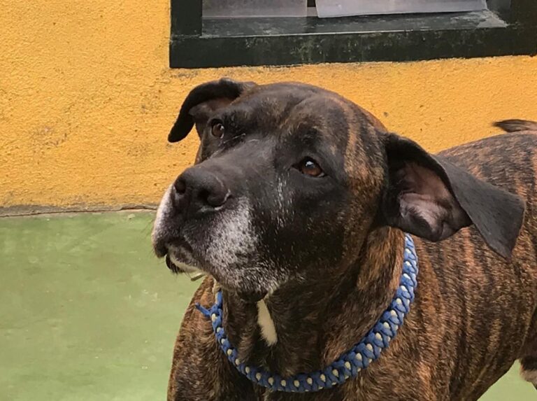 multimedia-foto70062-978-1