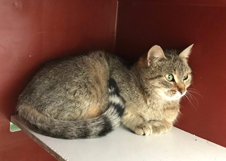 multimedia-foto70067-141-1